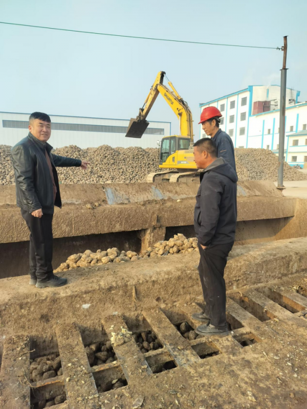 【好评中国・追光青年】“鸿雁”北飞 青春有为