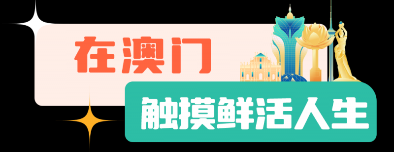 总台周末看点丨共赴下一场山海