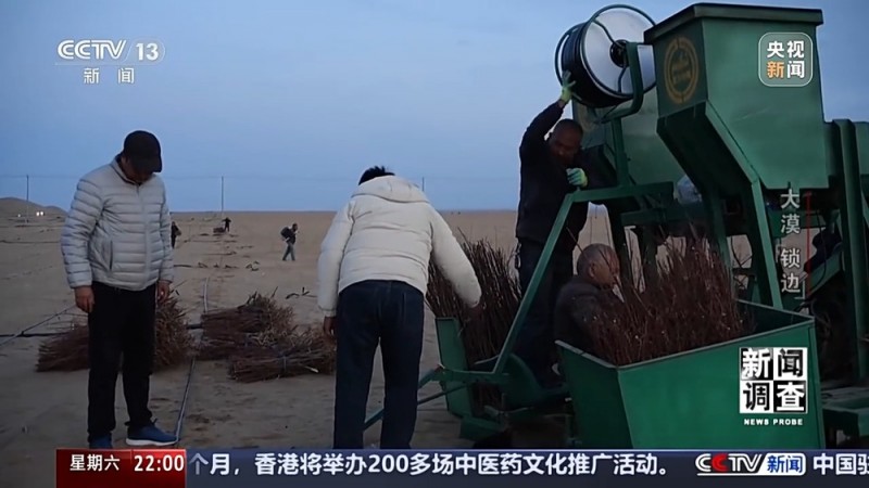 新闻调查丨如何给沙漠“锁边”？他们用双手筑起绿色屏障