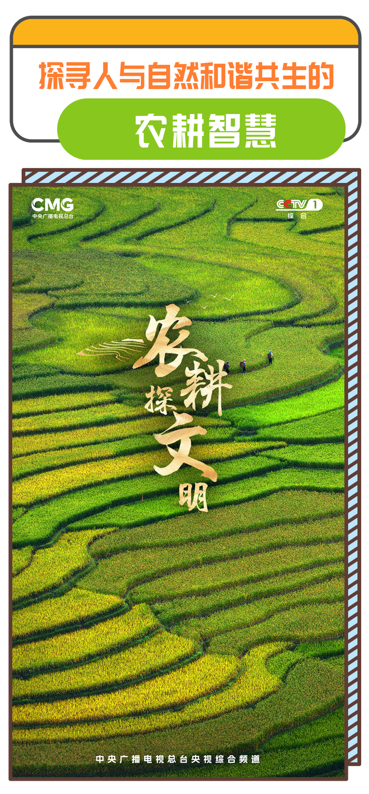 总台周看点丨稳中有进！