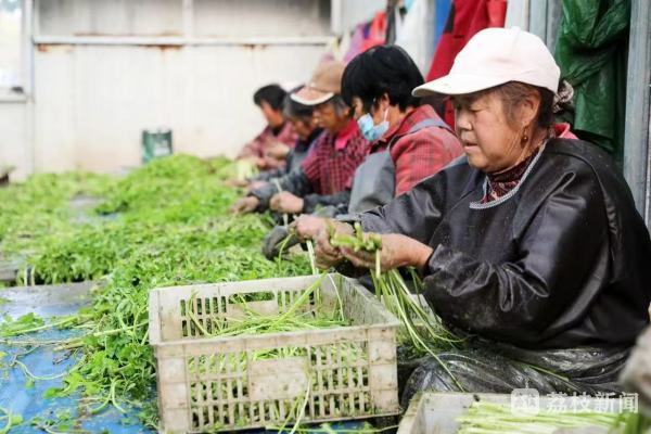 【牢记嘱托 答好强富美高新答卷】奋楫扬帆 破浪争先