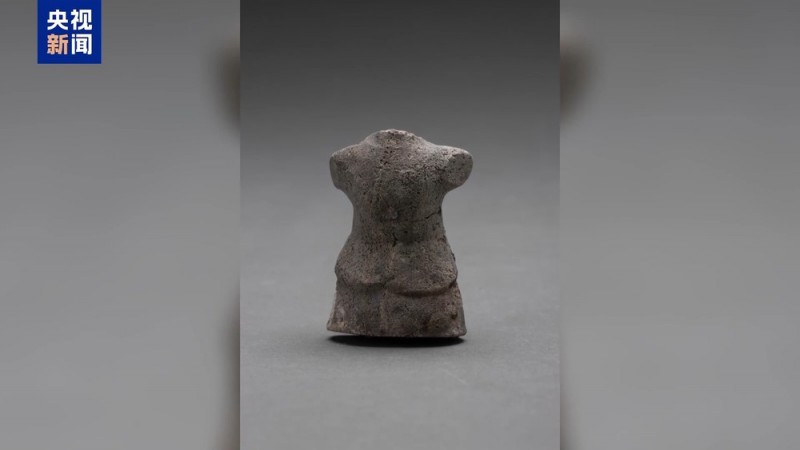 夏商文明考古重大突破！“考古中国”最新进展一次看过瘾→
