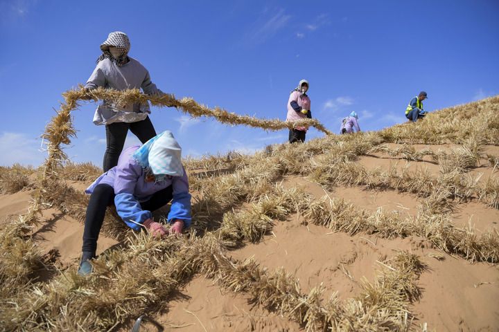 锦绣大地满目新――西部地区乡村振兴观察