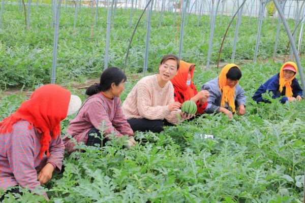 【好评中国・追光青年】“兴村新锐”为乡村发展注入青春动能