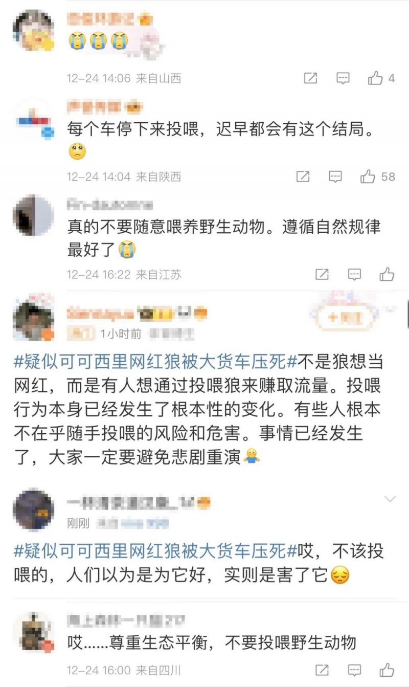 压死狼属实！三江源国家公园再呼吁：禁止投喂！