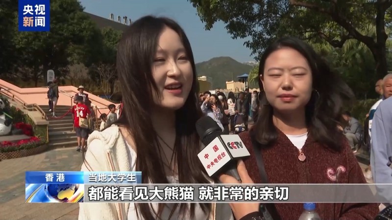 大熊猫“安安”“可可”首度公开亮相 吸引香港市民蜂拥看望