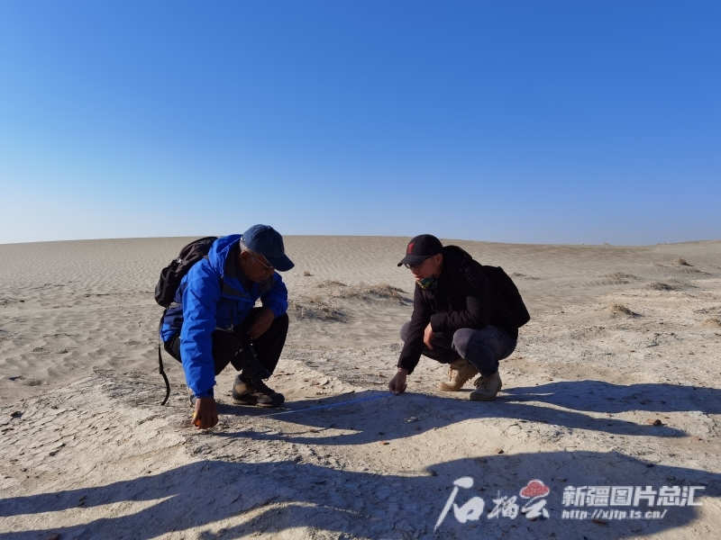 文化中国行丨二次探查喀拉克尔遗址，在跋涉中见证热爱