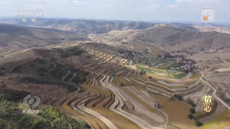 焦点访谈丨丰收色彩浓！农业跑出加速度 把中国饭碗牢牢端住