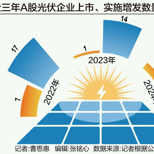 “失血”的光伏，2025年等待“回血”