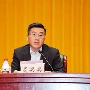 上海市委全会追认：开除高奕奕党籍