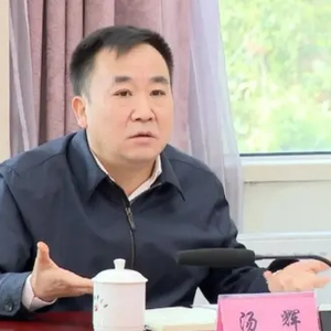汤辉，严重违反政治纪律、组织纪律、廉洁纪律和生活纪律
