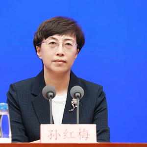 孙红梅已任安徽省委组织部部长