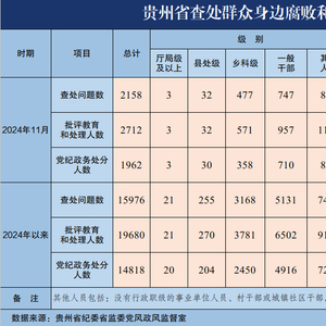 2024年11月贵州省查处群众身边腐败和作风问题2158起