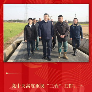 镜观·足迹｜乡村振兴，总书记念兹在兹