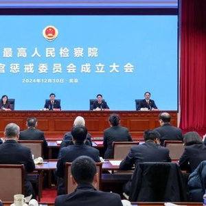 应勇任最高检检察官惩戒委员会主任