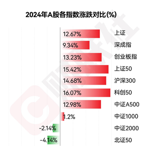 2024年十大牛熊股出炉：2700亿AI芯片龙头夺魁 ST及退市标的领跌市场