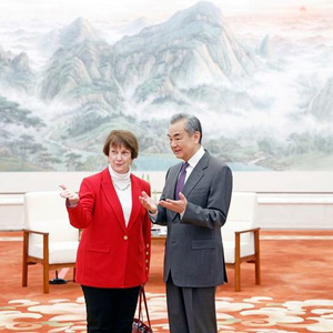 王毅会见美国外交政策全国委员会代表团
