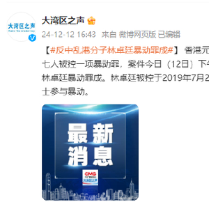 反中乱港分子林卓廷暴动罪成