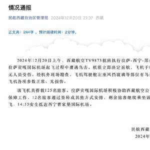 西藏航空一航班起飞后突然返航，官方通报：起飞过程中遭遇鸟击，已安全落地