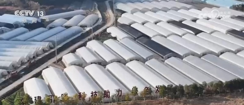 “美丽经济”添彩假日消费 处处洋溢浓浓年味