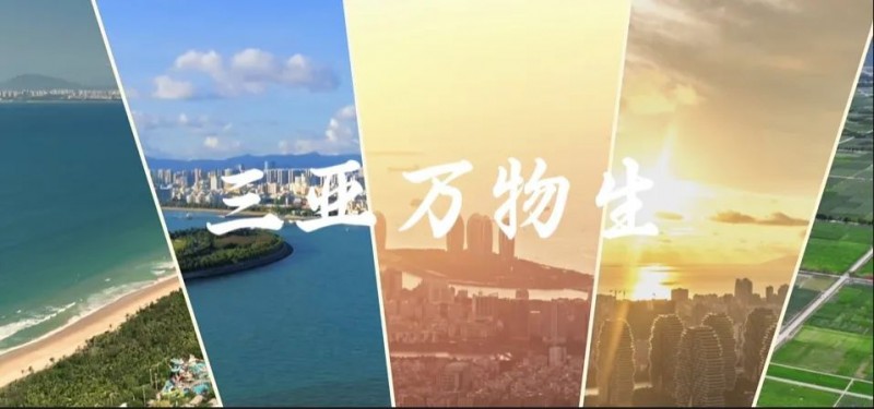 共享新春文旅盛宴  共绘欢腾美丽中国  《2025中国文旅大联欢》（新春篇）欢乐开播