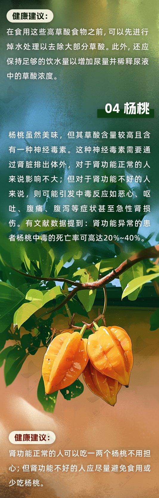 肾脏很怕的这6种食物 很多人几乎天天都吃却不知道→