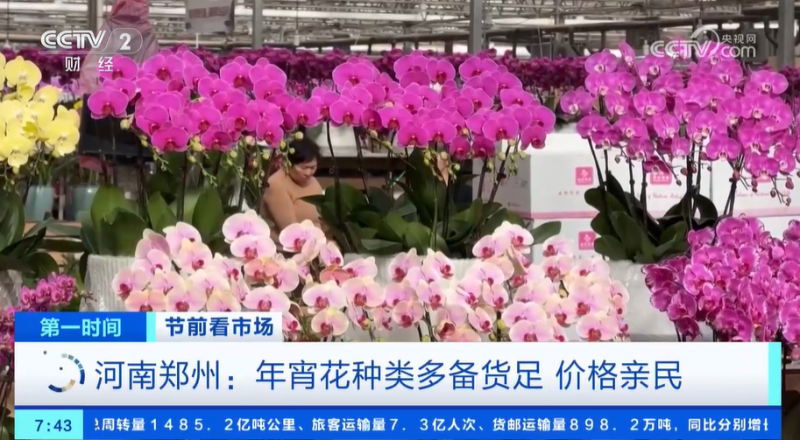 年货市场人气旺 缤纷好物迎新春