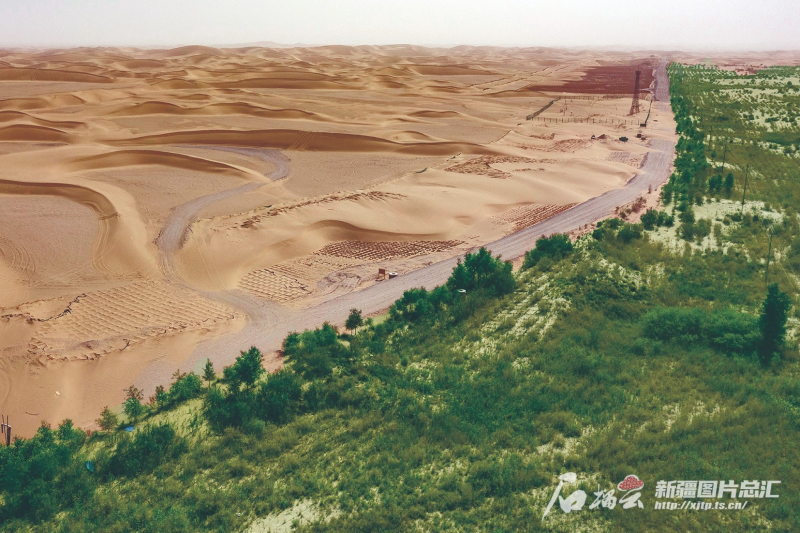 2025新疆两会・深度 | 新疆纵深推进三大重要领域生态治理