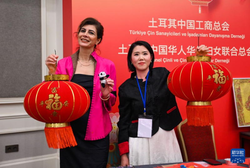 综合消息丨互致新春祝福 共期美好未来――我驻外使领馆举办活动喜迎蛇年春节