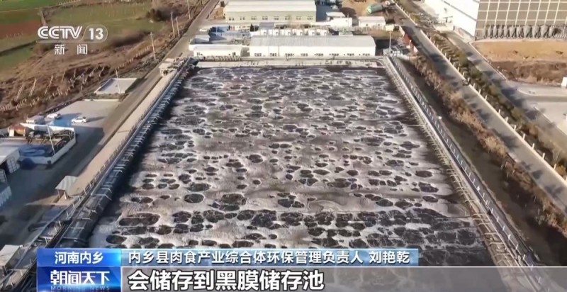 高质量发展调研行丨小猪上楼 变废为“宝” 智能养殖助力农业高效发展
