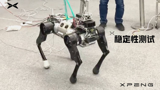鹏行往事：一个智驾巨人的机器人反思录