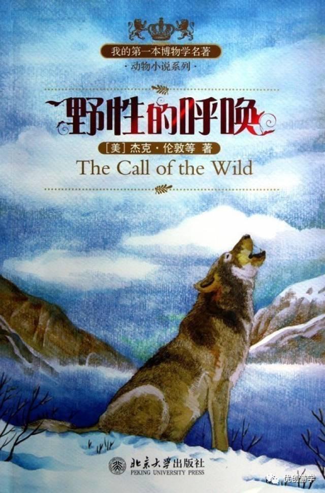 北极文学:对自然与人性的双重探讨