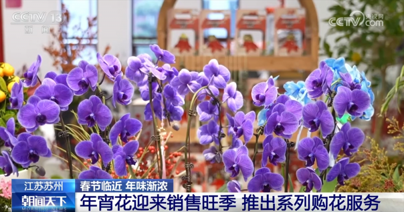“年货经济”热潮涌动 “烟火气”升腾绘就生动节日画卷