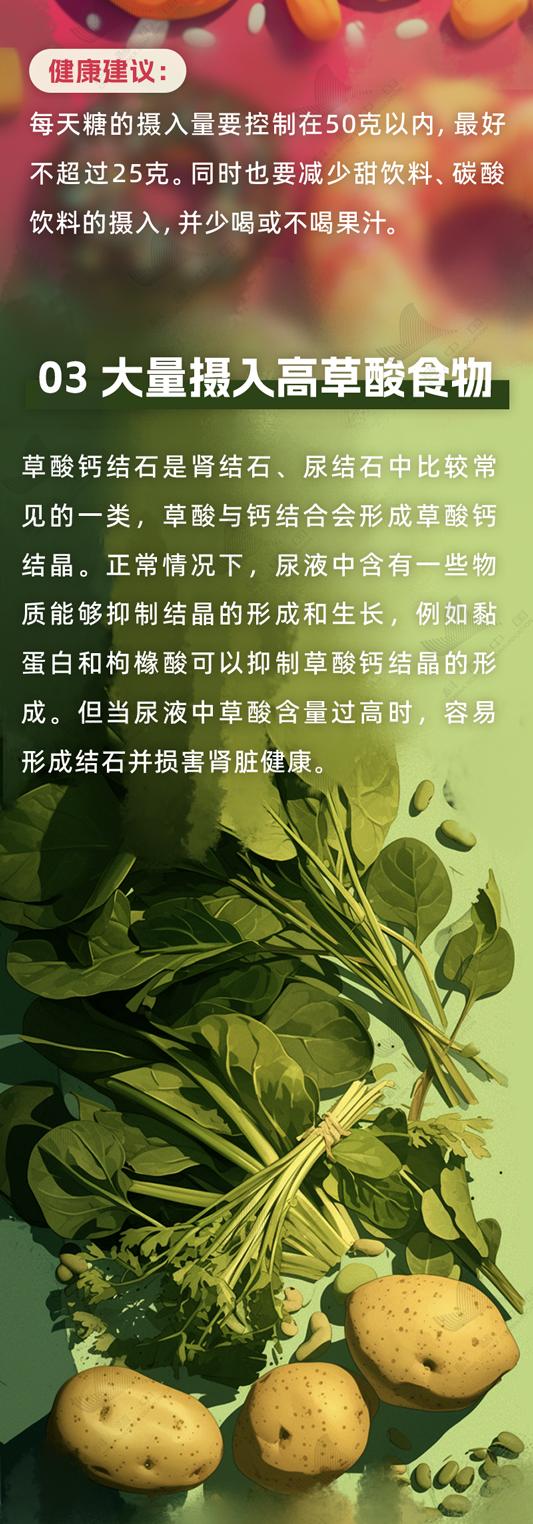 肾脏很怕的这6种食物 很多人几乎天天都吃却不知道→