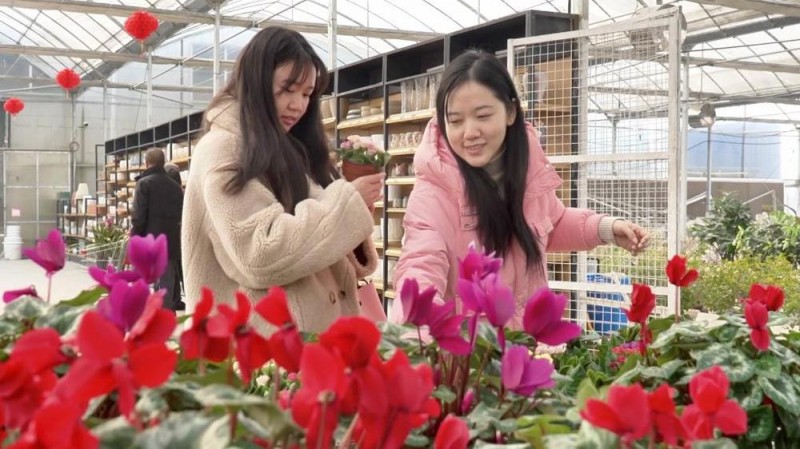 新华视点｜节前消费市场涌动新活力