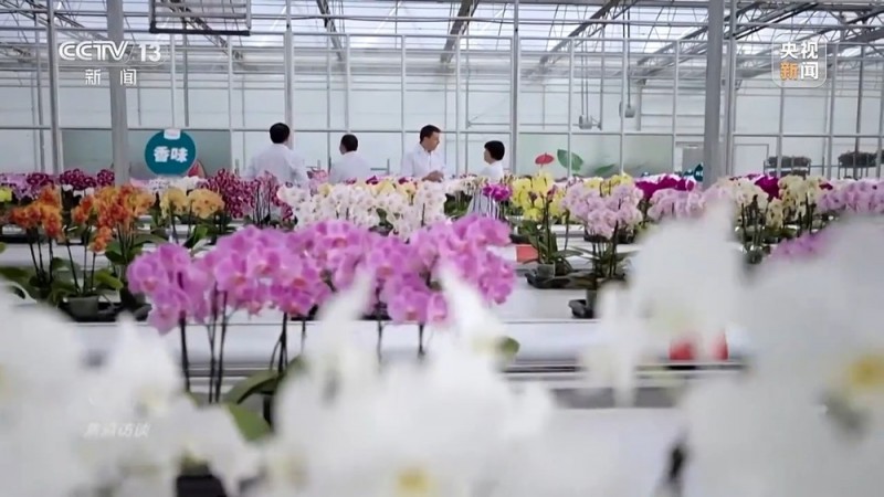 焦点访谈丨扩大开放再发力！2025让世界共享中国新机遇