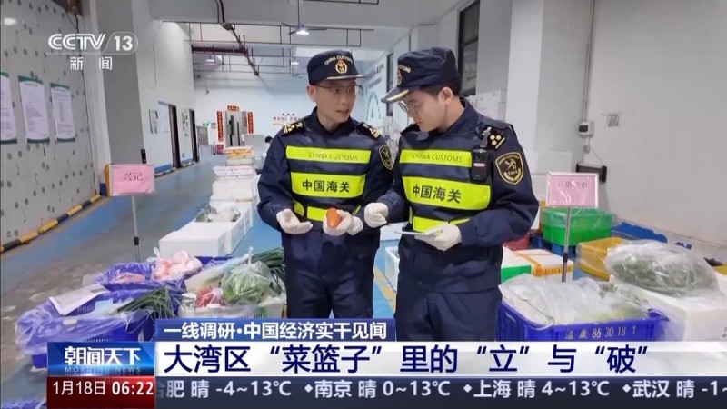 一线调研丨一场“立”与“破”的改革 让大湾区“菜篮子”不断上新