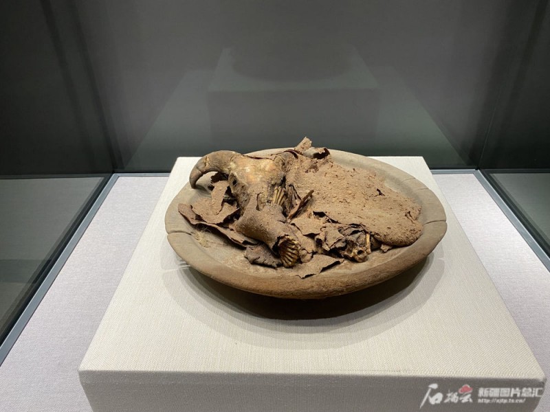 藏在新疆文物里的“冬天”