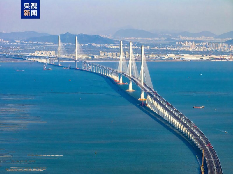 湾区速评丨从互信到共享 一张证书背后折射怎样的“湾区共识”？
