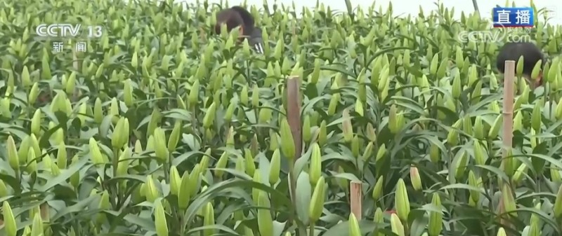 “美丽经济”添彩假日消费 处处洋溢浓浓年味