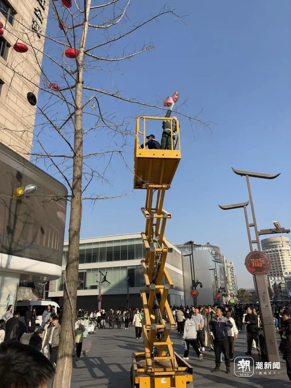 看丹观察丨“一棵树上的气球就摘了半小时”！网友：仪式感有了，素质呢？