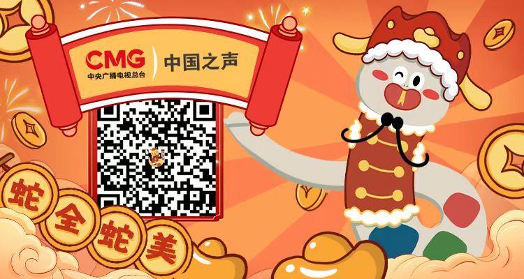 中国声音中国年丨这场“视听盛宴”您看了吗？