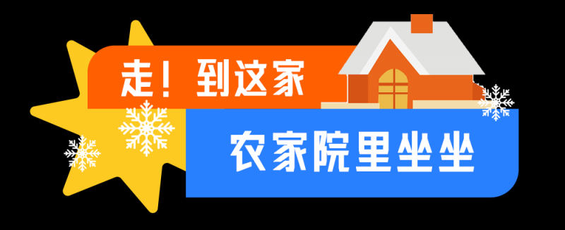 总台周末看点丨新年，第一个周末怎么过？