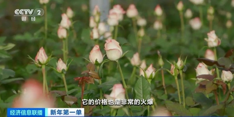 7点出发丨一货车司机高速路上犯困偏离道路，后车狂按喇叭提醒！