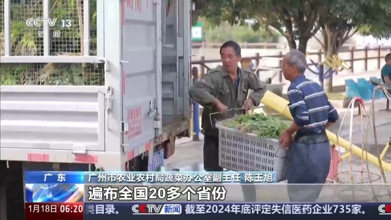 一线调研丨一场“立”与“破”的改革 让大湾区“菜篮子”不断上新