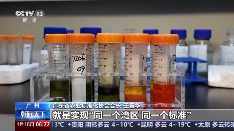 一线调研丨一场“立”与“破”的改革 让大湾区“菜篮子”不断上新