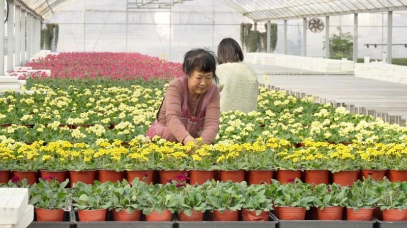 新华视点｜节前消费市场涌动新活力
