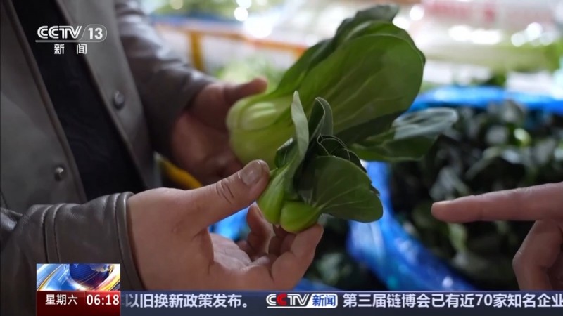 一线调研丨一场“立”与“破”的改革 让大湾区“菜篮子”不断上新