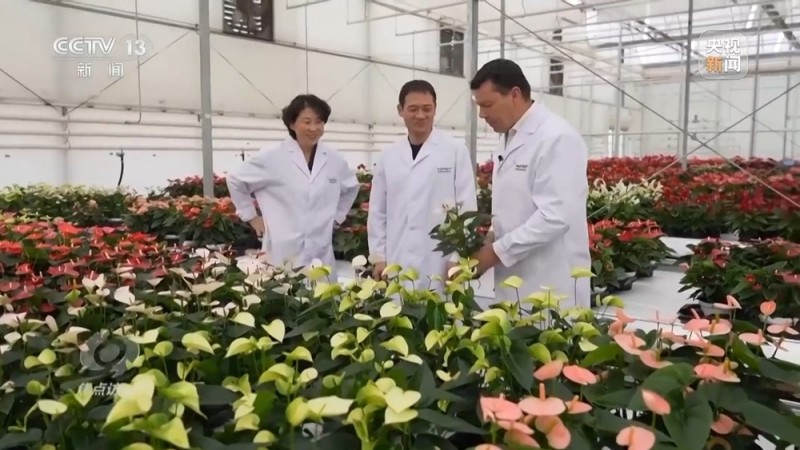 焦点访谈丨扩大开放再发力！2025让世界共享中国新机遇