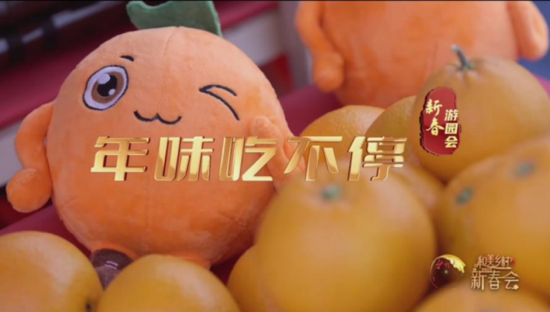 共赴和美之约！《和美乡村新春会》今晚播出，节目单公布